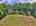 Blurred preview of media: DJI_20260818122006_0101_D_2_D_3_D_easyHDR