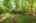 Blurred preview of media: image000001