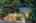 Blurred preview of media: 60