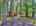 Blurred preview of media: DJI_20260829120429_0234_D_5_D_6_D_easyHDR