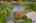 Blurred preview of media: Aerial 03