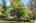 Blurred preview of media: 1-1