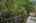 Blurred preview of media: DSC00490