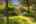Blurred preview of media: IMG_3627