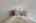 Blurred preview of media: 94 Central Street Andover Massachusetts Job 40242 0046
