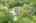 Blurred preview of media: 592 Sugar Road Bolton Massachusetts Job 38874 0082