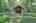 Blurred preview of media: IMG_4703_4_5_easyHDR