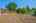 Blurred preview of media: 18313 E Crestline Cir 00035