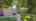 Blurred preview of media: IMG_5850