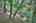 Blurred preview of media: IMG_1660_1_2_easyHDR