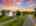 Blurred preview of media: D17