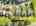 Blurred preview of media: 1-926-