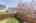 Blurred preview of media: 138