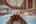 Blurred preview of media: Knot RO Ky Home-19