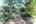 Blurred preview of media: 081A0221