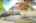 Blurred preview of media: IMG_0753