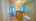 Blurred preview of media: 141Poinsettia-27
