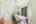 Blurred preview of media: 13-web-or-mls-Francis-13