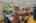 Blurred preview of media: DSC_3382