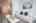 Blurred preview of media: 16