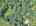 Blurred preview of media: DJI_20260829152919_0456_D_7_D_8_D_easyHDR