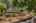 Blurred preview of media: 1-1