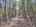 Blurred preview of media: DJI_20260505133930_0793_D_4_D_5_D_easyHDR