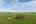 Blurred preview of media: DSC03859