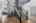 Blurred preview of media: 9924 Silver Maple Way 00027