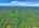 Blurred preview of media: DJI_20260608140940_0584_D_5_D_6_D_easyHDR