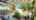 Blurred preview of media: IMG_8959