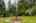 Blurred preview of media: 1-33
