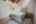 Blurred preview of media: PAX_0781