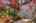 Blurred preview of media: 1-6