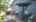 Blurred preview of media: IMG_9275