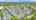 Blurred preview of media: DJI_0124 copy