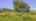 Blurred preview of media: IMG_1198.4