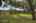 Blurred preview of media: 6243Cecilyann-31