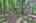 Blurred preview of media: IMG_4673_4_5_easyHDR