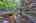 Blurred preview of media: 9zo