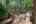 Blurred preview of media: PAX_2122
