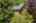 Blurred preview of media: Aerial 01