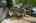 Blurred preview of media: 004