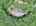 Blurred preview of media: DJI_20260702125056_0606_D_6_0607_D_7_0608_D_easyHDR