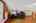 Blurred preview of media: 850_8593