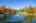 Blurred preview of media: IMG_1331