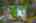 Blurred preview of media: Renton 18308 Aerial-6 outline