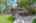 Blurred preview of media: 2972 W Long Dr APT C 00001