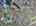 Blurred preview of media: DJI_20260418123954_0585_D_6_D_7_D_easyHDR