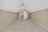 Blurred preview of media: DSC03352
